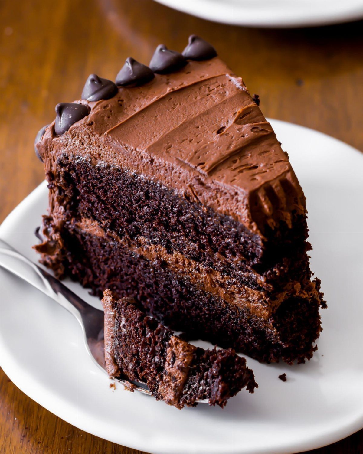 Chocolate layer cake slice with thick frosting and chocolate chips on white plate