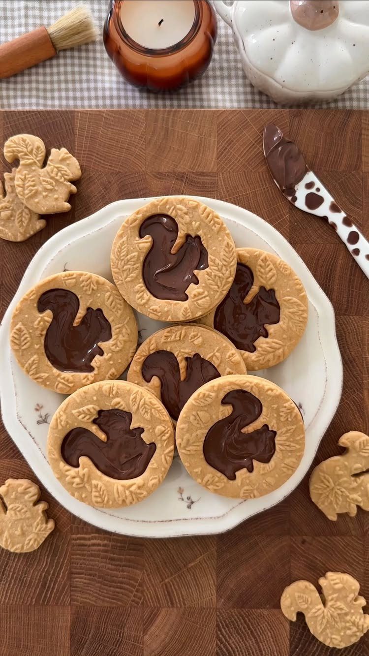 Fun Shaped Cookies: 35 Cut-Out Cookie Recipes to Decorate 30 Round cookies with squirrel-shaped cutouts filled with chocolate on a white plate.