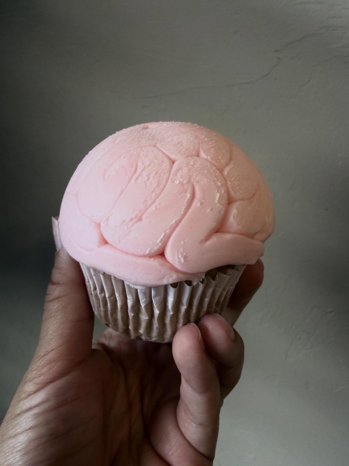 Brain-shaped pink frosted cupcake held in a person's hand against a grey background.